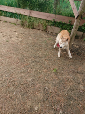 f:id:roukenhome-ann:20190509185430j:plain
