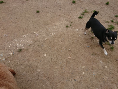 f:id:roukenhome-ann:20190509185438j:plain