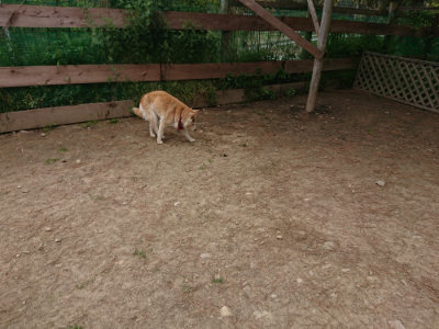 f:id:roukenhome-ann:20190509185445j:plain