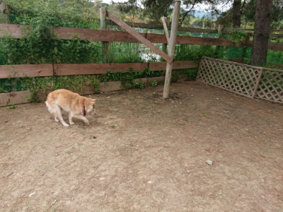 f:id:roukenhome-ann:20190509185451j:plain