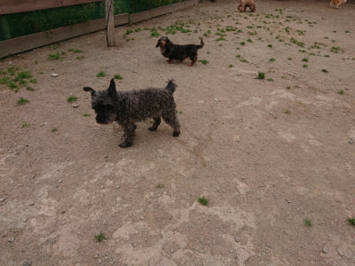 f:id:roukenhome-ann:20190509185516j:plain