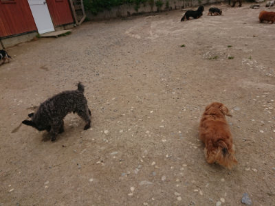 f:id:roukenhome-ann:20190509185529j:plain