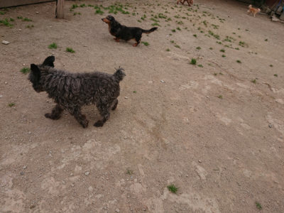 f:id:roukenhome-ann:20190509185539j:plain
