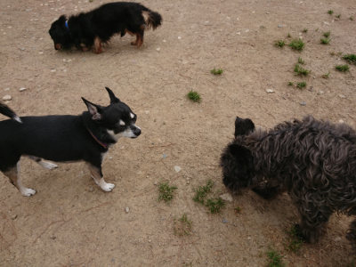 f:id:roukenhome-ann:20190509185555j:plain