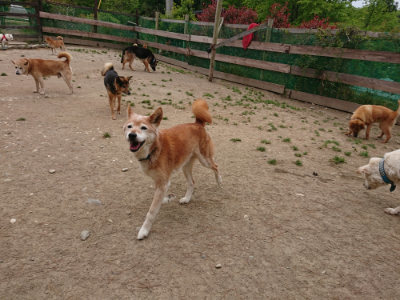 f:id:roukenhome-ann:20190509185605j:plain