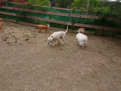 f:id:roukenhome-ann:20190509185624j:plain