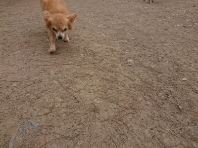 f:id:roukenhome-ann:20190509185644j:plain