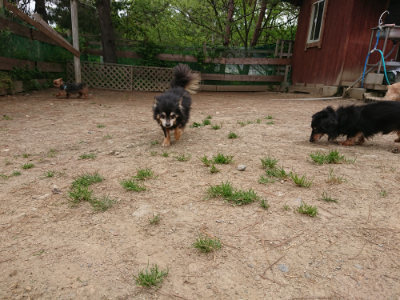 f:id:roukenhome-ann:20190509185649j:plain