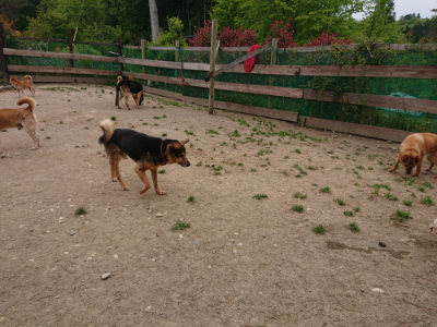 f:id:roukenhome-ann:20190509185701j:plain