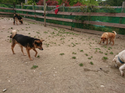 f:id:roukenhome-ann:20190509185706j:plain