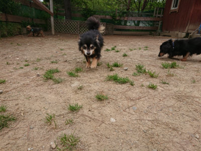 f:id:roukenhome-ann:20190509185711j:plain