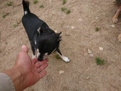 f:id:roukenhome-ann:20190509185717j:plain