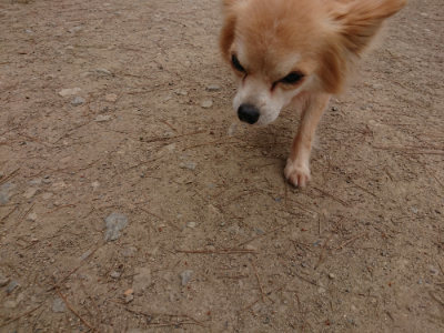 f:id:roukenhome-ann:20190509185724j:plain