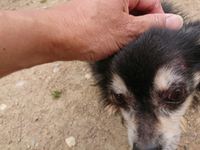 f:id:roukenhome-ann:20190509185730j:plain
