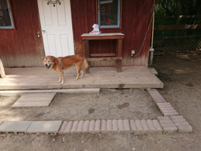 f:id:roukenhome-ann:20190512150203j:plain