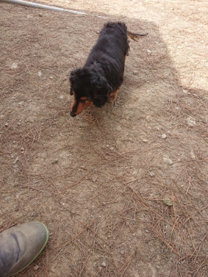 f:id:roukenhome-ann:20190512150208j:plain