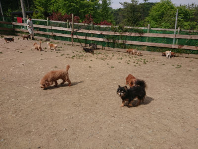 f:id:roukenhome-ann:20190512150212j:plain