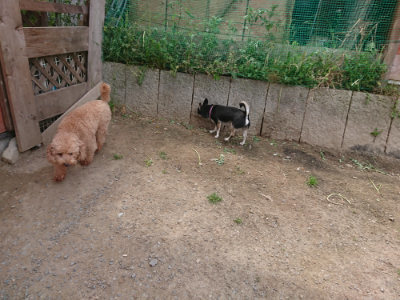 f:id:roukenhome-ann:20190512150217j:plain