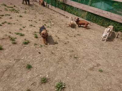 f:id:roukenhome-ann:20190512150225j:plain