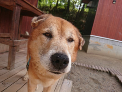 f:id:roukenhome-ann:20190512150231j:plain