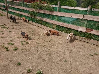 f:id:roukenhome-ann:20190512150236j:plain