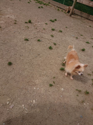 f:id:roukenhome-ann:20190512150242j:plain