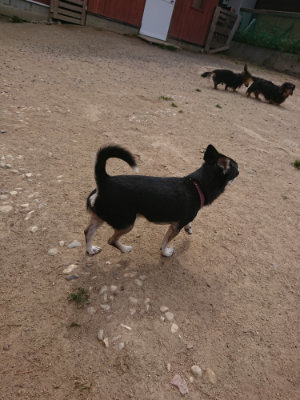 f:id:roukenhome-ann:20190512150339j:plain