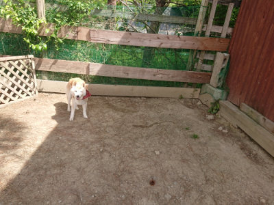 f:id:roukenhome-ann:20190512150401j:plain
