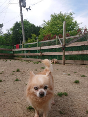 f:id:roukenhome-ann:20190512150421j:plain