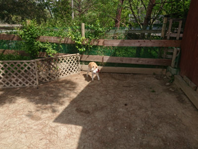 f:id:roukenhome-ann:20190512150436j:plain