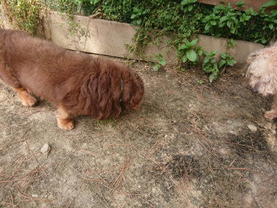 f:id:roukenhome-ann:20190512150447j:plain