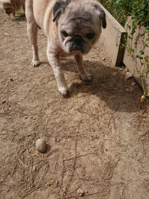 f:id:roukenhome-ann:20190512150452j:plain