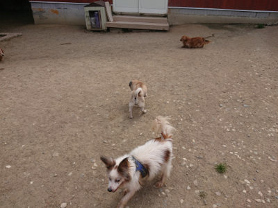 f:id:roukenhome-ann:20190512150509j:plain