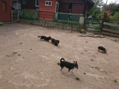 f:id:roukenhome-ann:20190512150559j:plain