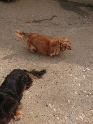 f:id:roukenhome-ann:20190512150641j:plain