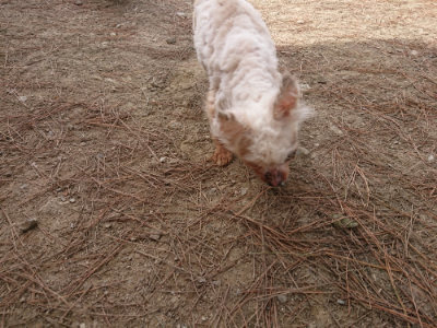 f:id:roukenhome-ann:20190512150647j:plain