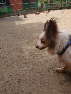 f:id:roukenhome-ann:20190512150709j:plain