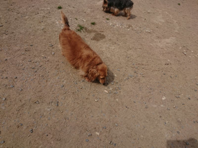 f:id:roukenhome-ann:20190512150714j:plain