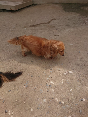 f:id:roukenhome-ann:20190512150723j:plain