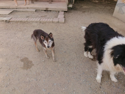 f:id:roukenhome-ann:20190512150730j:plain