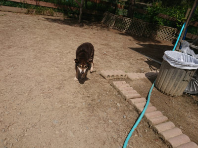 f:id:roukenhome-ann:20190512150735j:plain