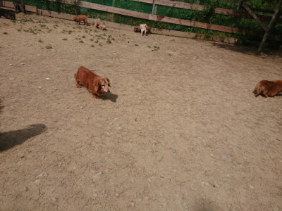 f:id:roukenhome-ann:20190512150746j:plain