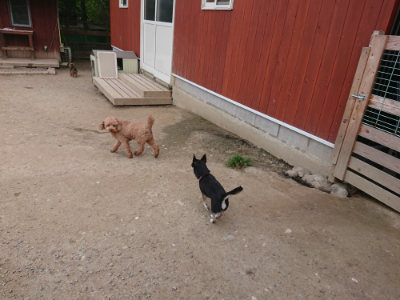 f:id:roukenhome-ann:20190512150752j:plain