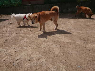 f:id:roukenhome-ann:20190512152739j:plain