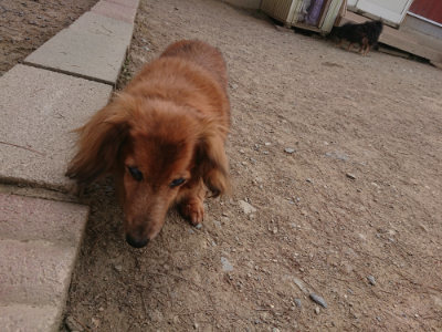f:id:roukenhome-ann:20190512152745j:plain