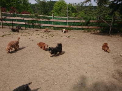 f:id:roukenhome-ann:20190512152803j:plain