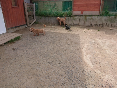 f:id:roukenhome-ann:20190512152809j:plain