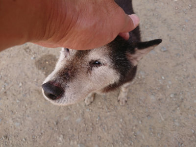 f:id:roukenhome-ann:20190512152815j:plain