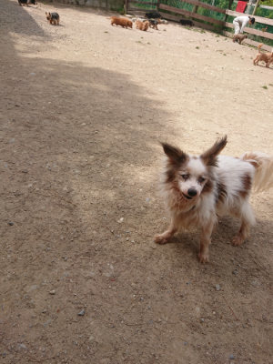 f:id:roukenhome-ann:20190512152829j:plain