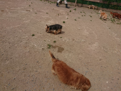 f:id:roukenhome-ann:20190512152835j:plain